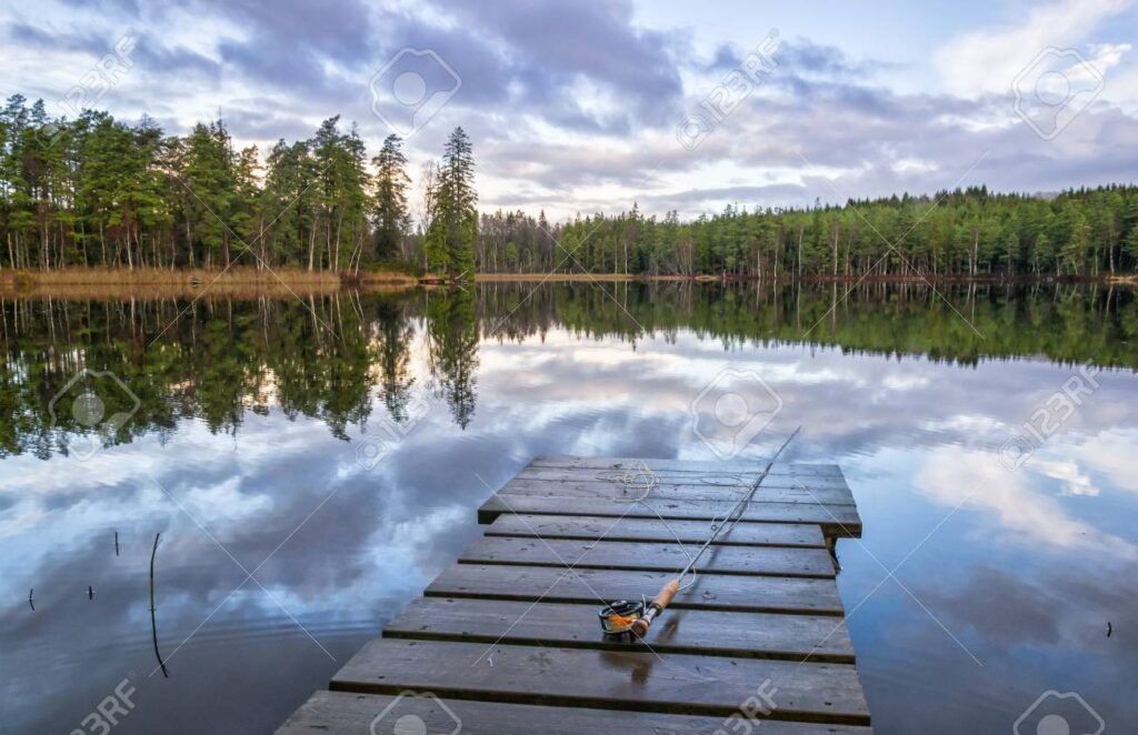 Cómo obtener el carnet de pesca en Santa Cruz Requisitos y pasos