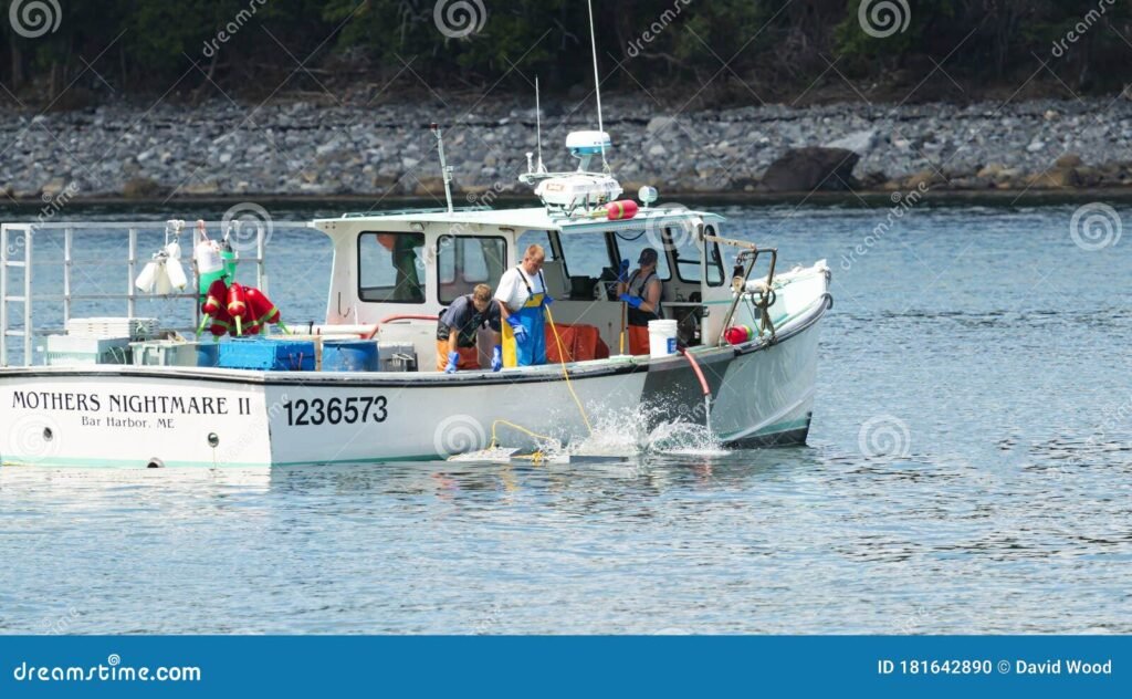 Qué estrategias se utilizan para enganchar trampas en alta mar 8 Qué estrategias se utilizan para enganchar trampas en alta mar
