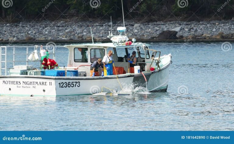 pescador colocando trampas en alta mar