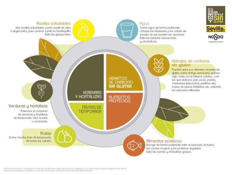 plato colorido de comida sin gluten