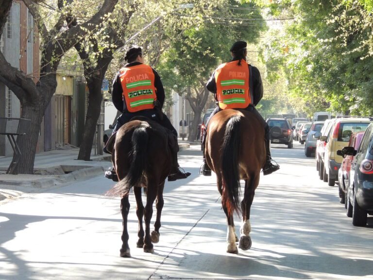 policia patrullando una calle de mendoza
