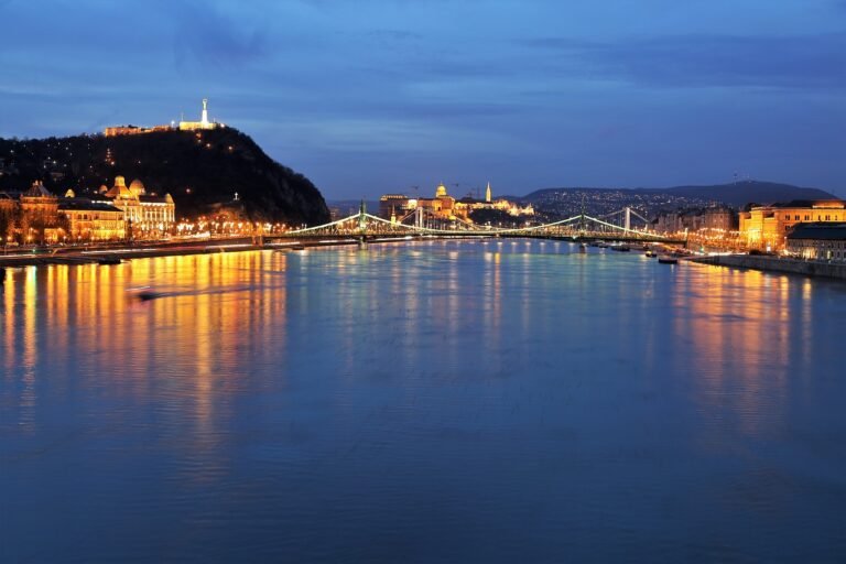 puente sobre el rio con paisaje urbano
