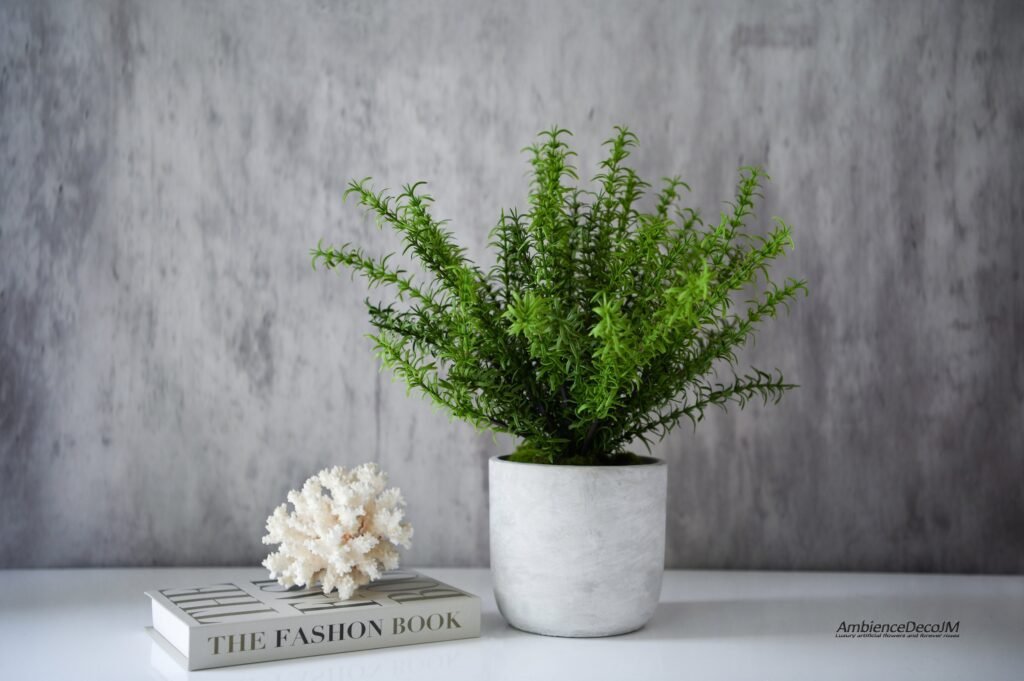 Cómo puede el romero en casa atraer buena suerte y energía positiva