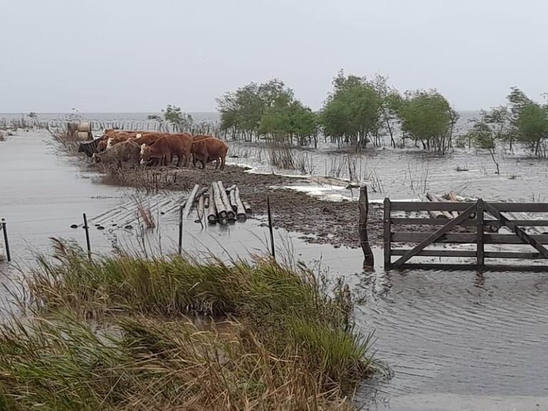 Cuáles son los horarios de corrientes del río Uruguay a Ituzaingó 17 rio uruguay al amanecer en ituzaingo