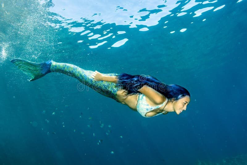 Dónde puedo encontrar sirenas en Playa Unión, Chubut 6 Dónde puedo encontrar sirenas en Playa Unión, Chubut