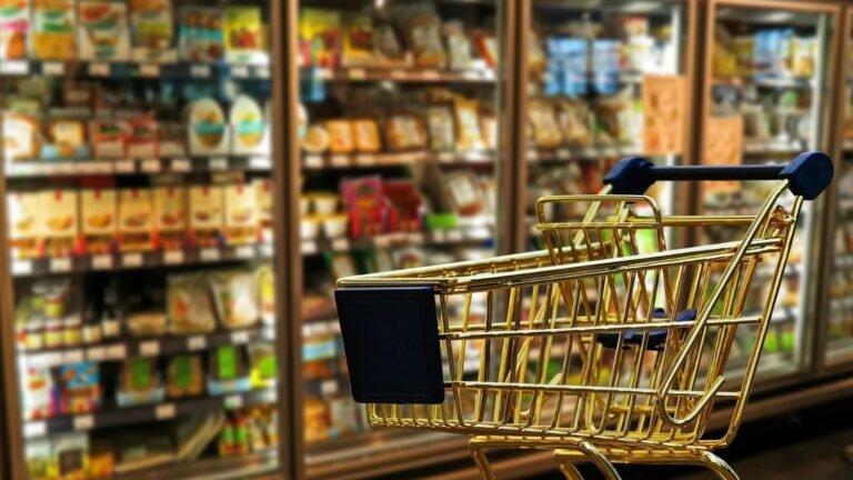 supermercados en argentina con carrito de compras