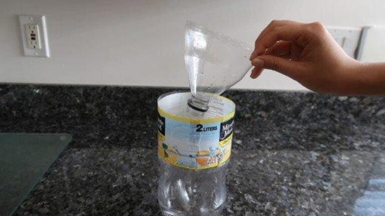 trampa casera para mosquitos en casa