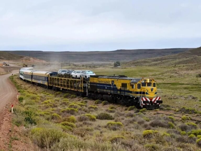 tren atravesando paisajes patagonicos