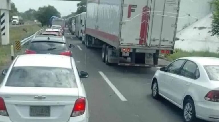 Es Obligatorio Realizar el RTO en Mendoza para Todos los Vehículos 25 vehiculos en una carretera de mendoza