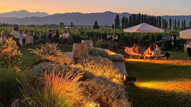 vinedos de mendoza al atardecer