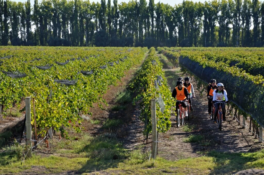 Qué es el Wine and Ride en Mendoza y cómo puedo participar 3 Qué es el Wine and Ride en Mendoza y cómo puedo participar