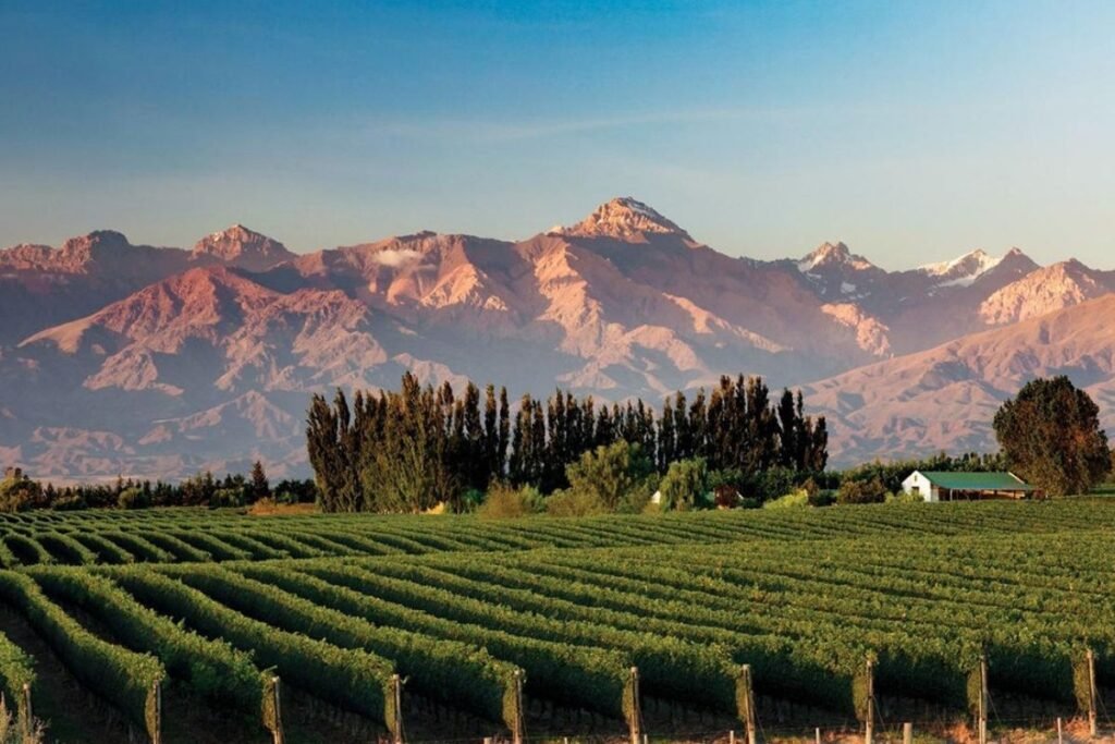 Qué actividades y vinos ofrece la Bodega Bianchi en el Valle de Uco 8 Qué actividades y vinos ofrece la Bodega Bianchi en el Valle de Uco