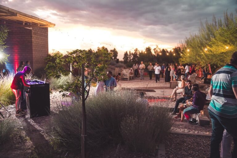 vinedos en san rafael al atardecer